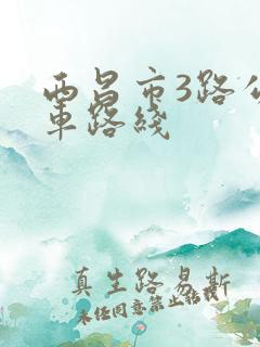 西昌市3路公交车路线
