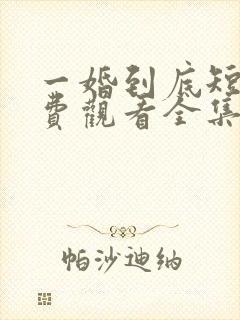 一婚到底短剧免费观看全集