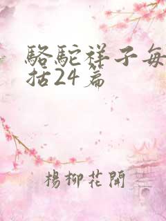 骆驼祥子每章概括24篇