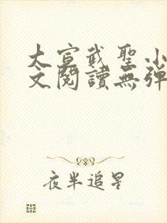 大宣武圣小说全文阅读无弹窗