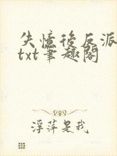 失忆后反派独占txt笔趣阁