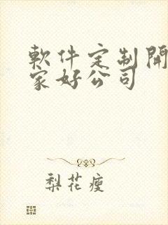 软件定制开发哪家好公司
