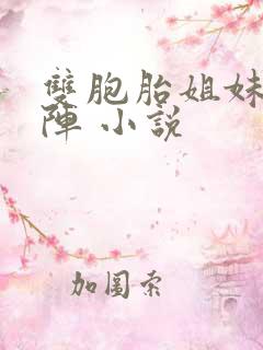 双胞胎姐妹齐上阵 小说