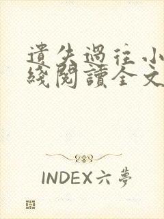 遗失过往小说在线阅读全文无弹窗