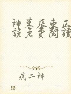 神墓辰东正版小说免费阅读