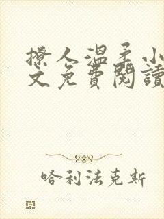 撩人温柔小说全文免费阅读无弹窗