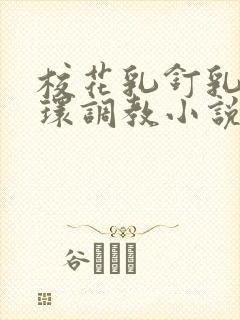 校花乳钉乳环蒂环调教小说h