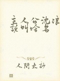 主人公沈浪的小说叫啥名