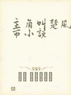 主角叫楚风的都市小说