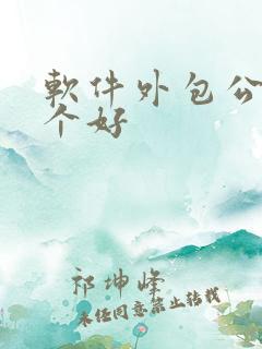 软件外包公司哪个好