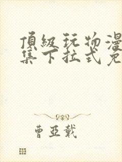 顶级玩物漫画全集下拉式免费观看 顶级玩物漫画全集下拉式免费观看