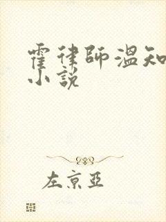 霍律师温知羽的小说