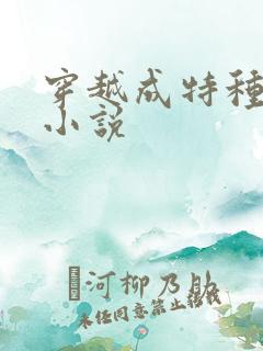 穿越成特种兵的小说