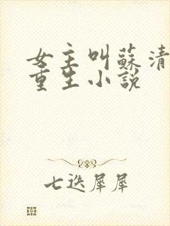 女主叫苏清欢的重生小说