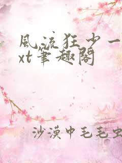 风流狂少一夕txt笔趣阁