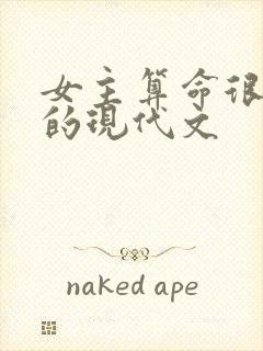 女主算命很厉害的现代文