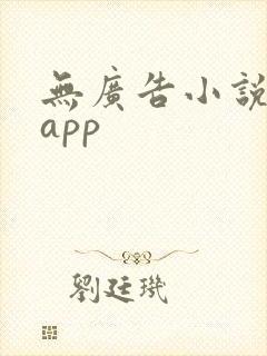 无广告小说阅读app