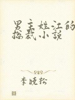 男主姓江的现代总裁小说