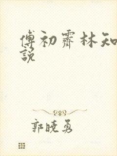 傅初霁林知鸢小说 傅初霁林知鸢小说