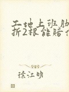 工地上班肋骨骨折2根能赔偿多少钱