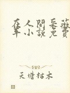 在人间采薇陆三平小说免费阅读全文