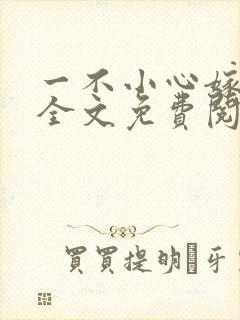 一不小心嫁总裁全文免费阅读 一不小心嫁总裁全文免费阅读