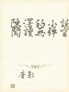 陈泽的小说免费阅读无弹窗