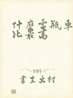 什么电瓶车性价比最高