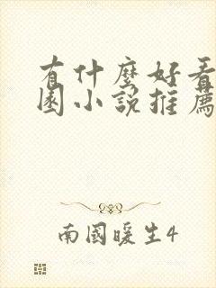 有什么好看的校园小说推荐一下