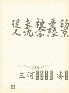 从未被爱的可怜人沈念陆京泽 从未被爱的可怜人沈念陆京泽