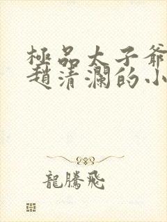 极品太子爷李辰赵清澜的小说