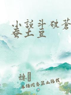 小说斗破苍穹天蚕土豆