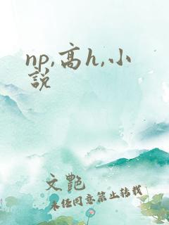 np,高h,小说