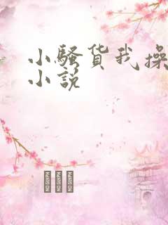 小骚货我操死你小说