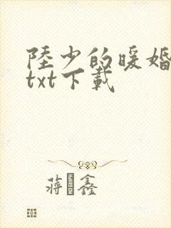 陆少的暖婚新妻txt下载