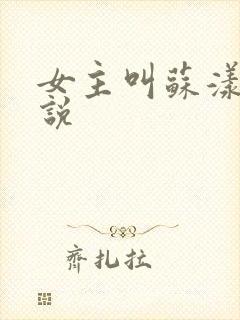 女主叫苏漾的小说