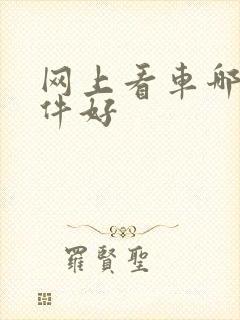 网上看车哪个软件好