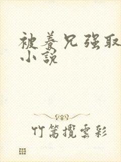 被养兄强取豪夺小说 被养兄强取豪夺小说