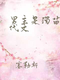 男主是独苗的年代文