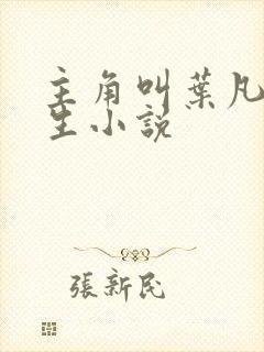 主角叫叶凡的重生小说