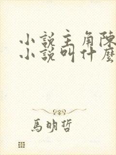 小说主角陈平的小说叫什么 小说主角陈平的小说叫什么