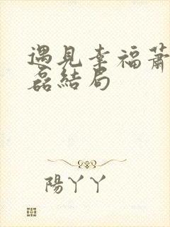 遇见幸福萧晴袁磊结局