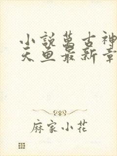 小说万古神帝飞天鱼最新章节目录