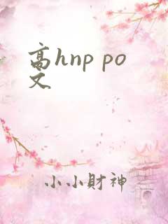 高hnp po文