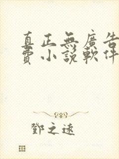 真正无广告的免费小说软件