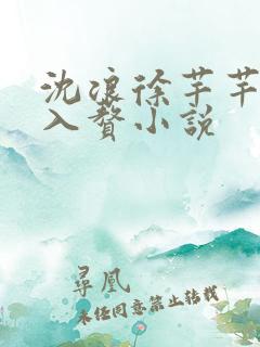 沈浪徐芊芊穿越入赘小说