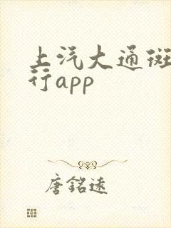 上汽大通斑马智行app