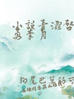 小说青涩启蒙张勇李月