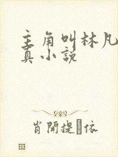 主角叫林凡的修真小说