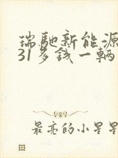 瑞驰新能源ec31多钱一辆